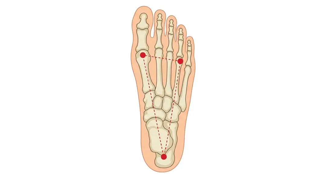The tripod: the big-toe side, the fourth-toe side, and the heel, with one clean, direct line running from the fourth toe to the heel.